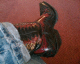 050920.boot_t.gif