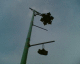 050921.shoes_t.gif