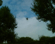 050921.spider_t.gif