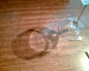 050923.glassshadow_t.gif