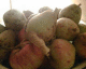 050925.applesNpears_t.gif