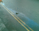 050930.bricklane_t.gif
