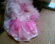051009.fairy_t.gif