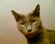 051015.push_t.gif