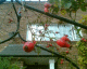 051019.itchybacks_t.gif