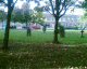 051020.gravepark_t.gif