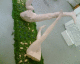 051021.RichardNiman.v1_t.gif