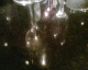 051024.reflect_t.gif