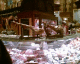 051102.porksword_t.gif