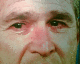 051103.cryingbush_t.gif