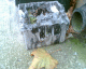 051114.bat2_t.gif