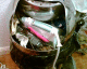 051119.dead_t.gif