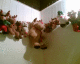 051203.Xmas_coming_t.gif