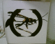 051210.wasp_t.gif