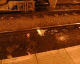 051213.sea_gull_t.gif