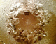 051220.xmas_wreath_t.gif