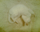 051224.Cwtch_t.gif