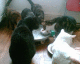 051226.boxing_day1_t.gif