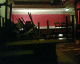 051231.NYE_2_t.gif
