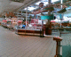 060206.GrapeVine_t.gif
