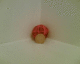 060208.redband_t.gif