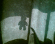 060303.Bear_t.gif