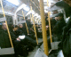 060307.tube_t.gif