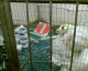 060327.carparkCF_t.gif