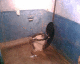 060404.Trotsky1_t.gif