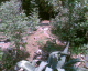 060405.Zoomex13_t.gif