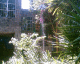 060406.Fridas_bedroom_t.gif
