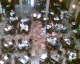 060406.Sanbourne6_t.gif