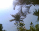 060409.acapulco8_t.gif