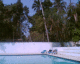 060410.acapulco1_t.gif