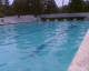 060411.acapulco11_t.gif