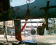 060411.acapulco12_t.gif