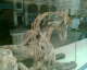 060506.Troy_t.gif