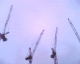060531.4cranes_t.gif