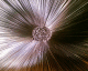 060614.Chill_bar_t.gif