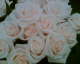 060614.a_thought_t.gif