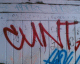 060628.cunt_1_t.gif