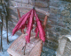 060715.broken_brolly_t.gif
