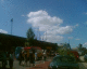 060730.Vehicle_trees_t.gif