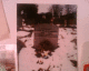 060801.Sylvia_Plath_t.gif
