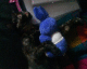 060802.cuddling_t.gif