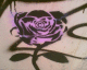 060810.Rose_t.gif