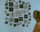 060821.Lily_Mosaics_t.gif