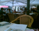 060822.Wise_Sparrows_t.gif