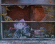 060826.Shoreditch_t.gif