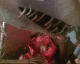 060830.Prey_t.gif